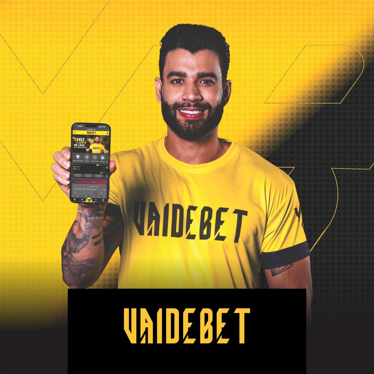 Vaidebet Cassino Online